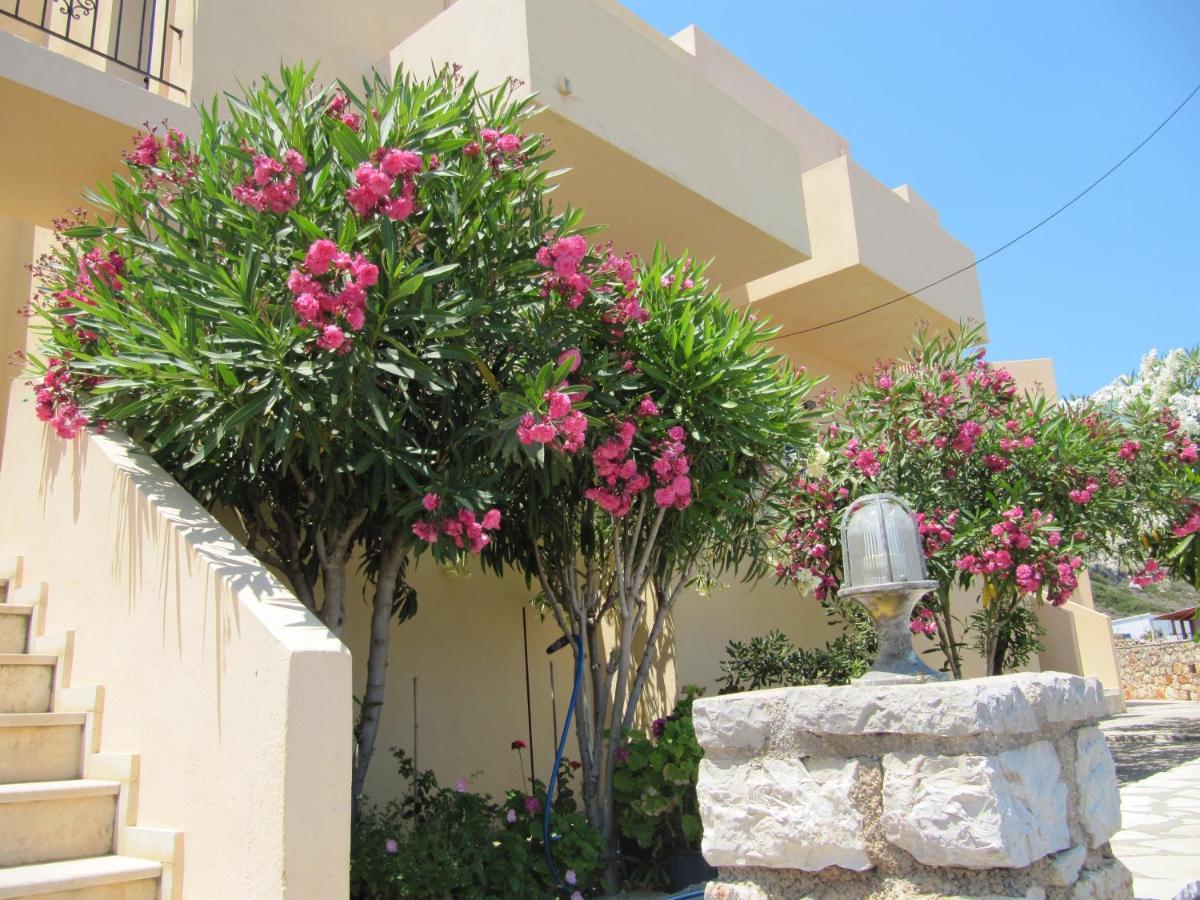 Eugenia Travasarou Sea View Appartments Diakofti Dış mekan fotoğraf